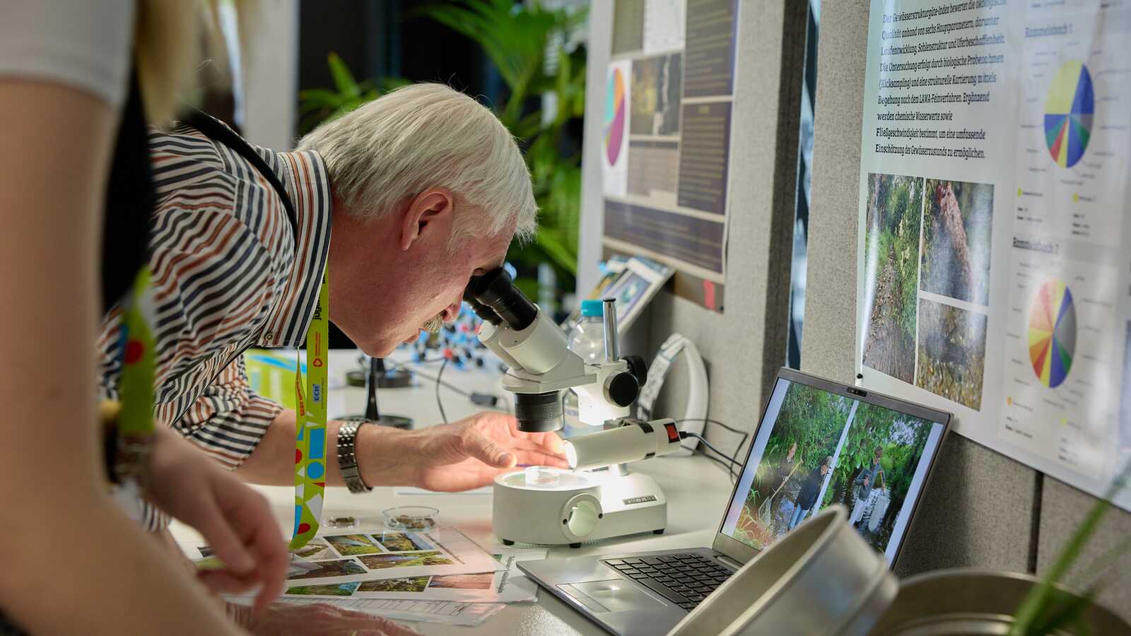 Öffentliche Ausstellung