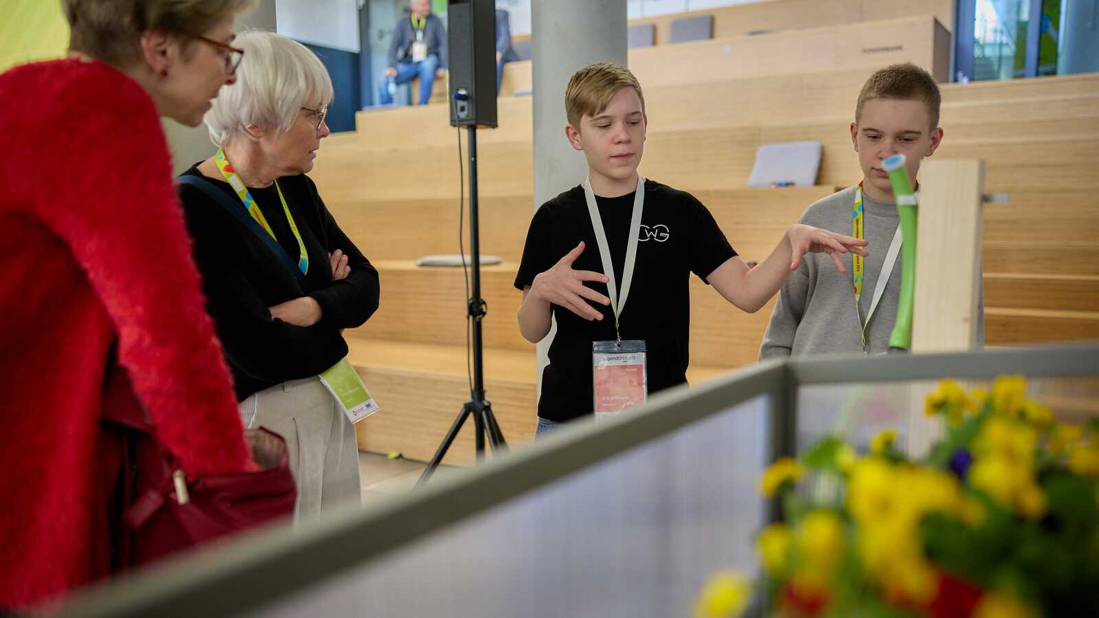 Öffentliche Ausstellung