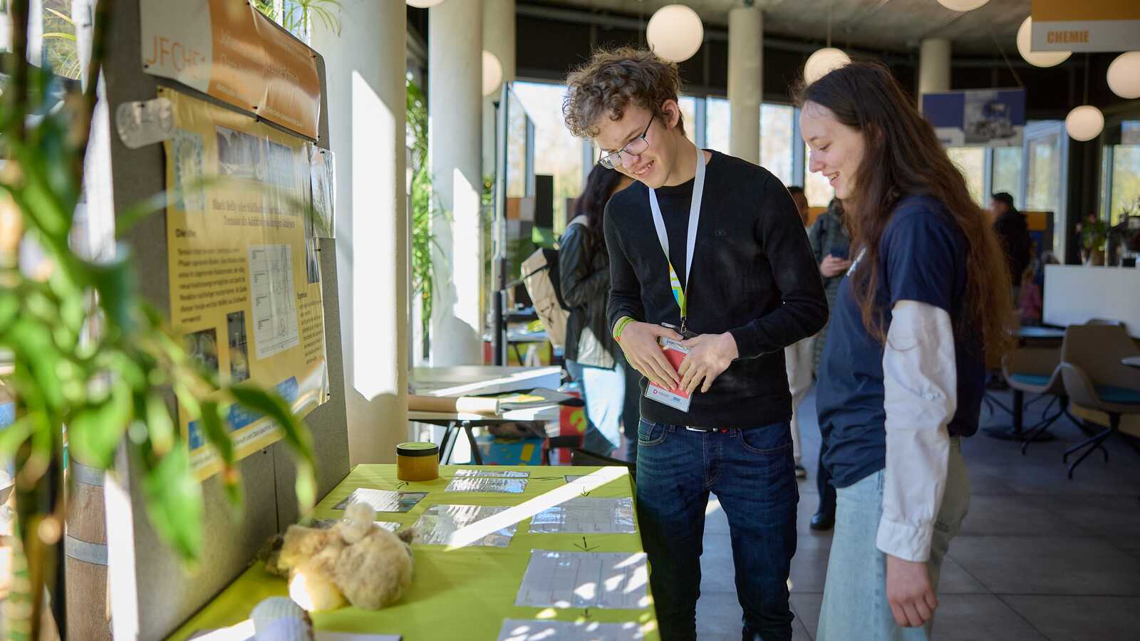 Öffentliche Ausstellung