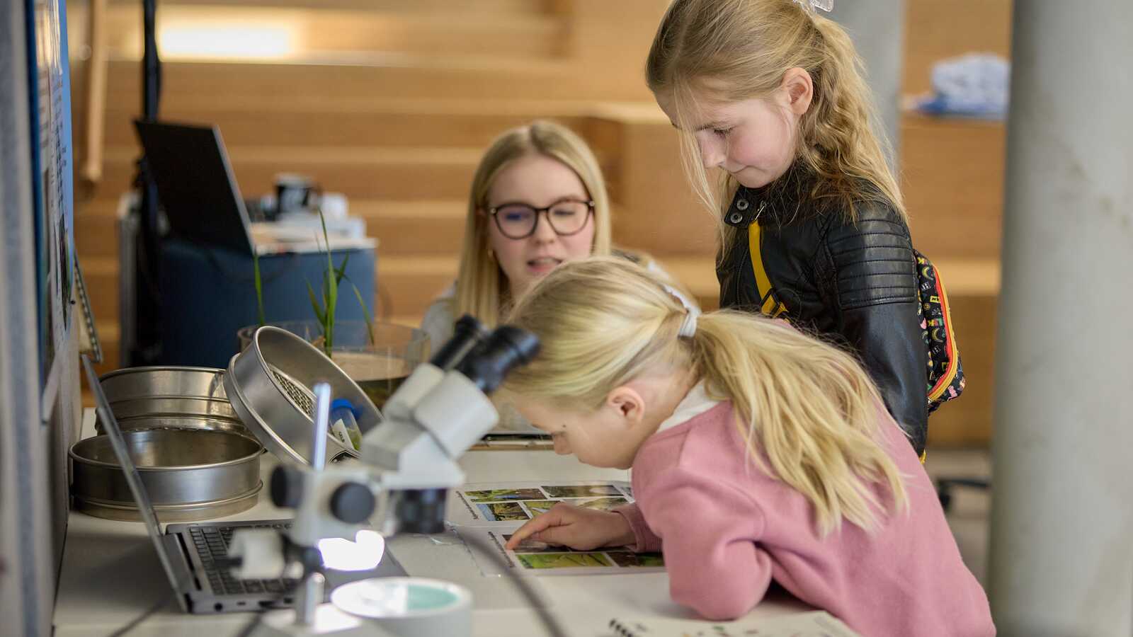 Öffentliche Ausstellung