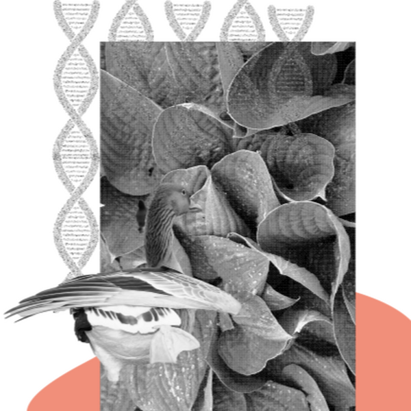 Bio